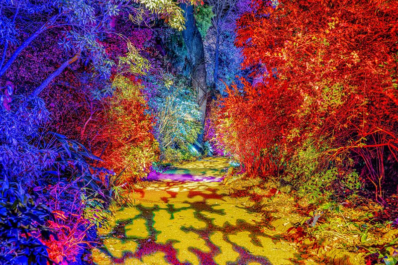 sm_Illuminate-Abbotsbury-Subtropical-Gardens_4