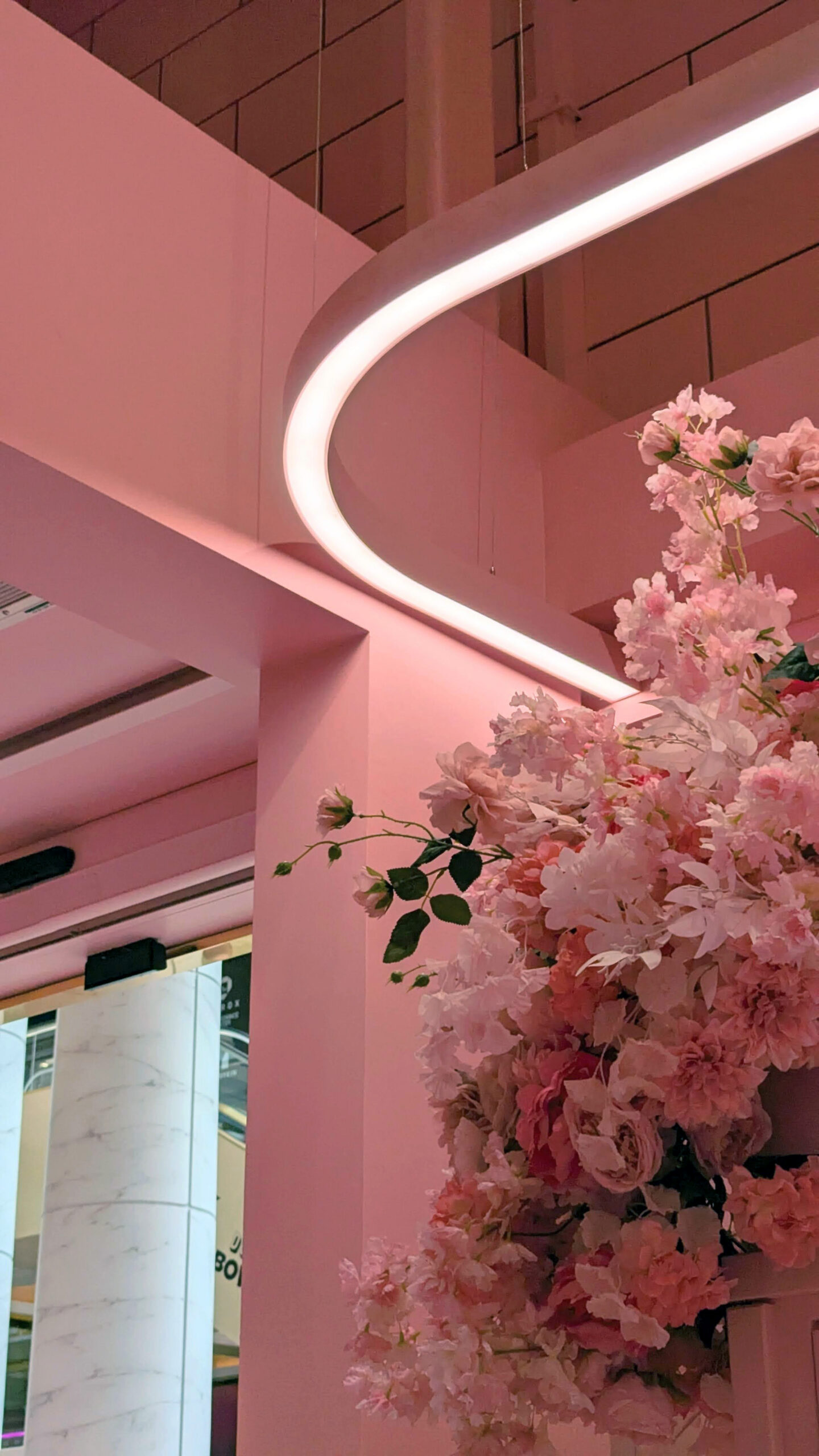 P&A Projects – P.Louise (2)