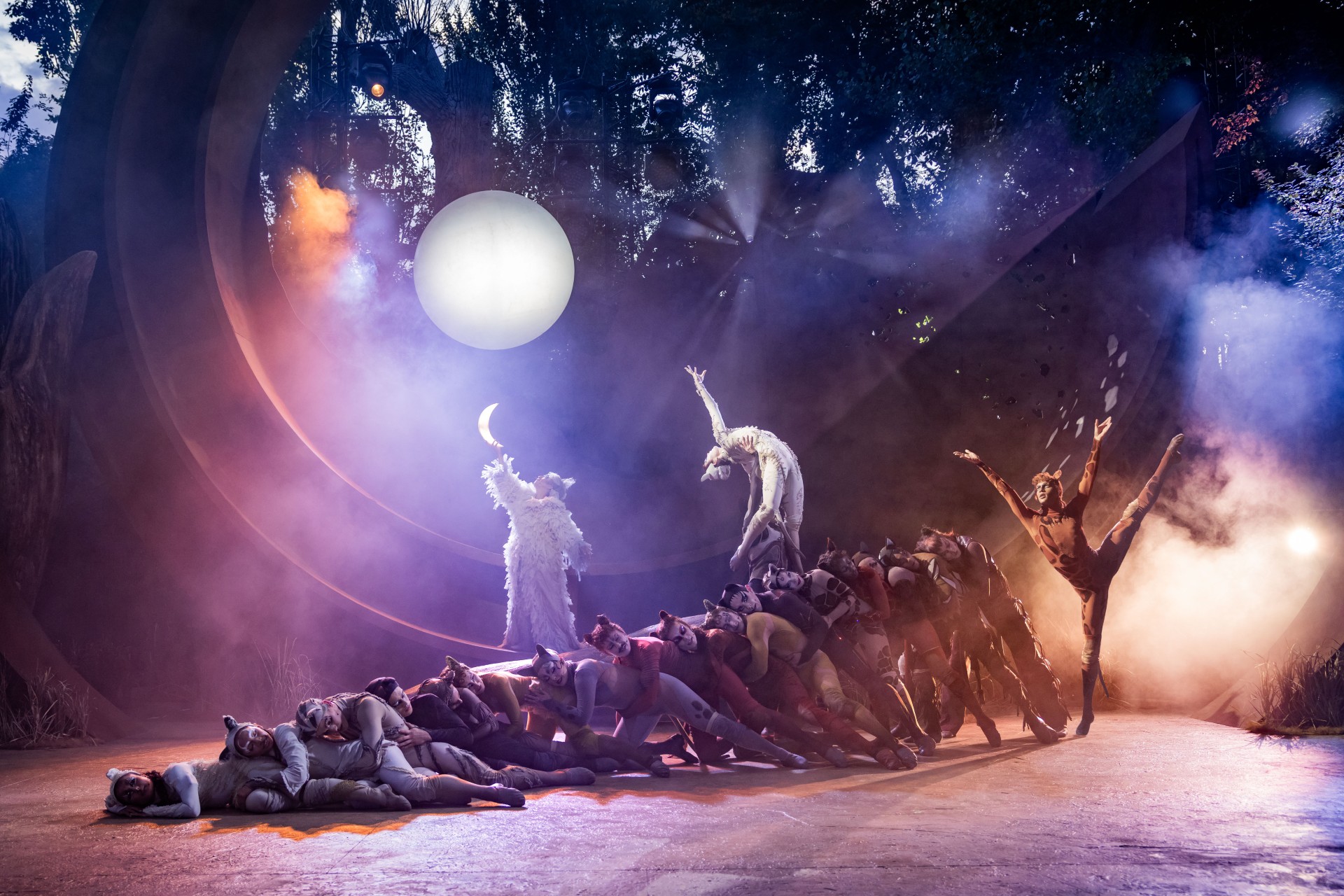White Light supports a purr-fect new production of Cats at Regent’s Park