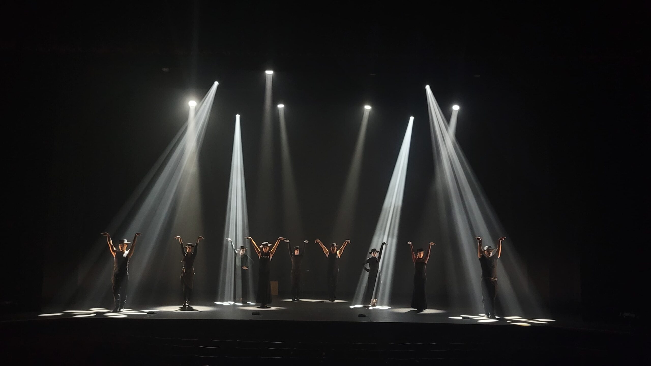 Flamenco-Passion_2